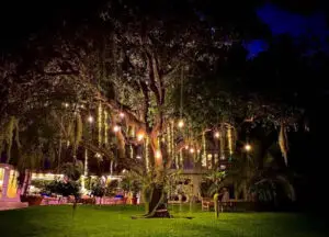 Tree christmas lights decoration