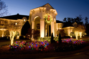 Christmas lights bushes shrubs